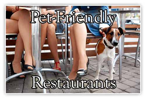 Pet Friendly Restaurants