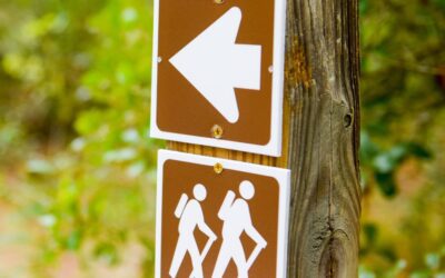 Unwind and Explore: Elk Forge Inn’s Top Outdoor Activities